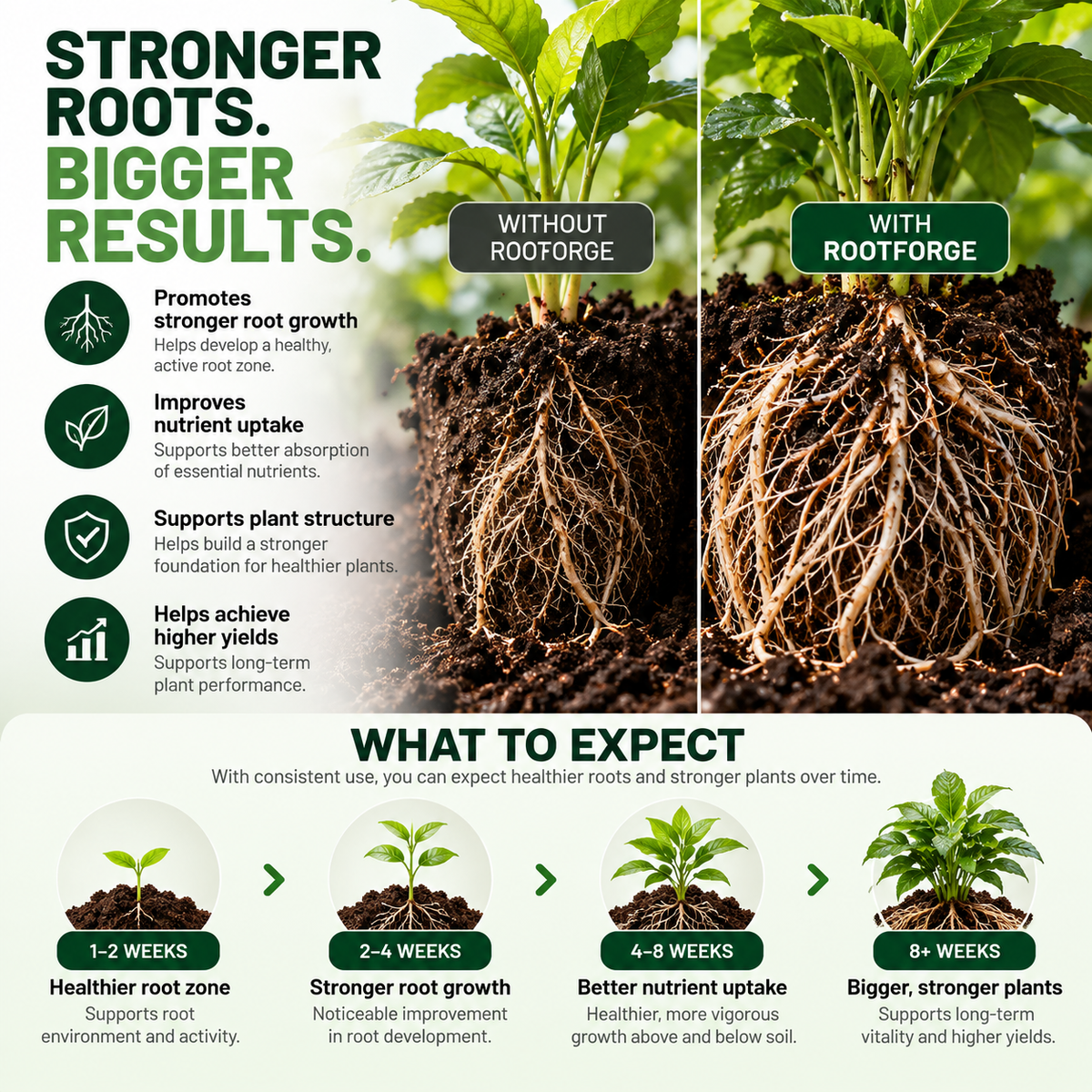 ROOTFORGE — Root Support Powder | 50 g