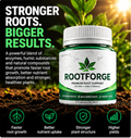 ROOTFORGE — Root Support Powder | 50 g