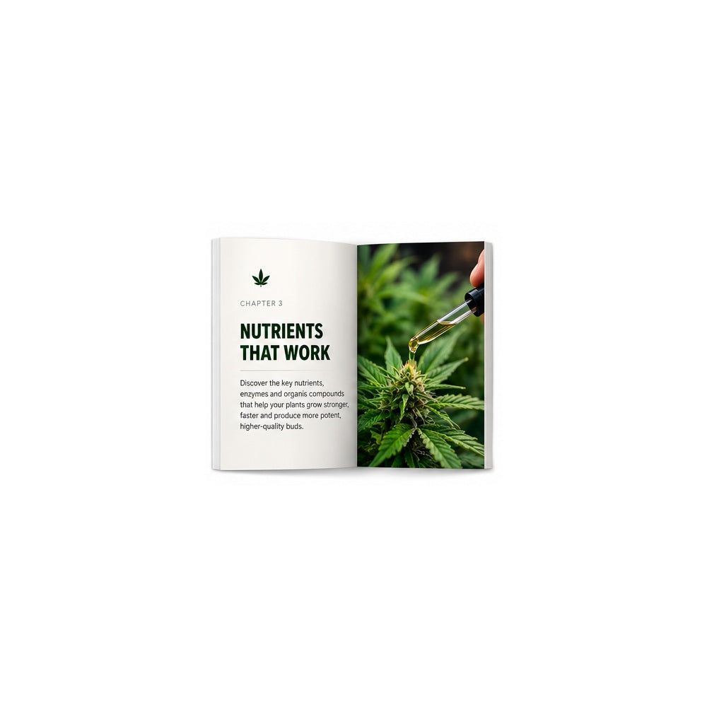 ROOTFORGE Better Cannabis Guide — nutrition illustration